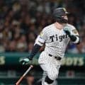 【阪神】佐藤輝明がカウント間違い　歩き始めて白井一行球審と田中将大が同時に「ちょいちょい」
