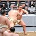 豊昇龍、横審稽古総見で納得の１７番「感触は悪くない」...横綱初Ｖ狙う大相撲夏場所１０日初日