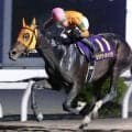 【高知競馬・黒潮皐月賞】重賞２連勝中＆オール連対のカツテナイオイシサ　大恵陽子のイチオシ
