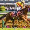 京王杯SCは4歳馬が好成績 押さえておきたい産駒は？