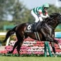 【京王杯SC予想】安田記念前哨戦 距離適性と位置取りがカギ握る