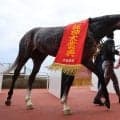 【競馬予想】天皇賞・春で注目すべき血統は？　距離が長くなるほど成績がよくなる種牡馬をチェック