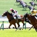 １４番人気の珍名馬激走で３連単１００万円超を演出「オカネモトンダ」「目玉とんだ」ネットは大騒ぎ　京都３Ｒのカモメガトンダ