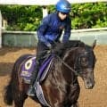 【天皇賞・春・土曜気配】クロワデュノールは豪華メンバーで縦列調教　斉藤崇調教師「１回使って馬も締まってきました」