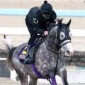 【天皇賞・春・土曜気配】武豊騎手とＶ狙うアドマイヤテラはＣＷコースをキャンター　陣営「全く疲労感もなくフレッシュ」