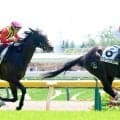【東京４Ｒ・３歳未勝利】セレクト１・９億円馬スワーヴマルスが２番手から押し切り初勝利　武豊騎手「乗り味がよく素質がありそう」