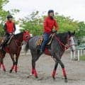土曜京都競馬場の注目激走馬…京都１１Ｒユニコーンステークス・Ｇ３