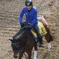 土曜東京競馬場の注目激走馬…東京１１Ｒ京王杯スプリングカップ・Ｇ２