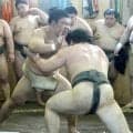 前頭筆頭の藤ノ川が湊川部屋の出稽古で１８番　春巡業を首痛で休場もお構いなしの立ち合いに「ごまかしても意味ない」