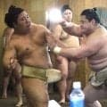 新入幕の若ノ勝が藤ノ川らと１６番で９勝　番付発表では「親がすごく喜んでくれた。親孝行したい」