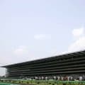 【スイートピーS結果】カナルサンマルタンが抜け出し2連勝 オークス切符獲得
