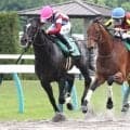 【ユニコーンＳ】川田将雅騎手テン乗りの１番人気メルカントゥール　重賞初挑戦は２着　半兄はコパノキッキング