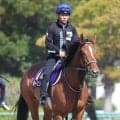 【天皇賞・春】前日入りのホーエリートは現地で入念にスクーリング　７３年ぶりの牝馬Ｖへ陣営「スタミナには自信」