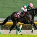 【京王杯SC】ワールズエンドがしぶとく逃げ切る…内外離れた接戦