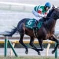 【天皇賞(春)予想】春の長距離王決定戦は近況のリズムが重要!? 連覇を阻む最大の障壁とは