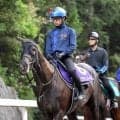 【天皇賞・春】前日最終オッズ発表！馬券の売れ方は「３強」の様相もダービー馬クロワデュノールが１・８倍の１番人気　