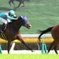【東京１０Ｒ・スイートピーＳ】カナルサンマルタンが力強い末脚でオークス切符　ルメール騎手「能力があります」