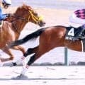 【兵庫ＣＳ】武豊騎手のスマートジュリアスは３枠３番　サウジダービー３着のサトノボヤージュは最内１枠１番