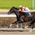 【ケンタッキーダービー】ダノンバーボン＆ワンダーディーン参戦、日本の悲願へ…出馬表確定