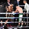 井岡一翔、世界５階級制覇に失敗　日本人との７戦目で初黒星　井上拓真のスピードについていけず
