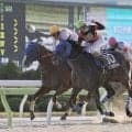 POGファン必見…キタサンブラック、エピファネイア、キズナ産駒の期待度は？有力種牡馬を父に持つ2歳馬 G1サラブレッドクラブインタビュー（前編）