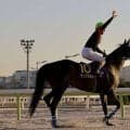 POGファン必見…名門厩舎から大成を目指すコントレイル産駒、外国産馬とは…活躍馬の弟妹、クラシック戦線を狙う2歳馬 G1サラブレッドクラブインタビュー（後編）