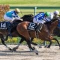 【是政S】レーン騎乗リアライズカミオンがハナ差V、接戦制しオープン入り
