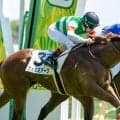 【東京5R】フェルミアークが接戦制し2勝目…進路こじ開け差し切り