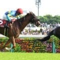 【京王杯ＳＣ】“遅咲きの天才”津村明秀騎手　早くもキャリアハイＪＲＡ年間重賞５勝目　ワールズエンドの重賞初勝利も導く