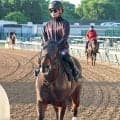 【チャーチルダウンズＳ】４歳馬テーオーエルビスが米国Ｇ１で圧勝！　生まれ故郷でＧ１初挑戦Ⅴの快挙