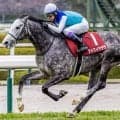 【天皇賞(春)】霜降り明星・粗品はアドマイヤテラを信頼 対抗には伏兵を指名 