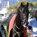 【今日の注目ポイント】古馬長距離王決定戦・天皇賞(春) 