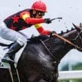 セレクト2.5億円のコントレイル産駒 ユマハムが初勝利狙う