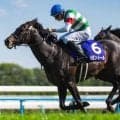 天皇賞(春)は人気馬が堅実 穴党は馬体重に注目だ