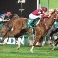 【競馬予想】天皇賞・春でクロワデュノールを脅かす存在はいるか　スタミナ秘める伏兵２頭が不気味