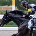 半兄はKYダービー馬 JRA最年長のディープ産駒が約1年9カ月ぶりの復帰戦だ