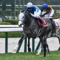 【天皇賞(春)予想】深掘ればレースの実体は明らかに？ 過去10年データから探るGI・天皇賞(春)