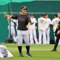 【阪神】井坪陽生が１軍合流、開幕２軍スタートもファーム・リーグ打率３割４分５厘　前日も１号