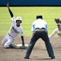 専大松戸と学館浦安が関東大会へ　春季県高校野球、3日に決勝など