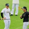 阪神　井坪が１軍今季初昇格　ファームで打率・３４５と好調　浜田が２軍へ