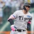 佐藤輝明は「別の惑星にいる」　衝撃“11冠”にMLB関係者もニンマリ…高まる注目度