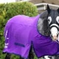 【天皇賞・春】馬トク外厩情報…天皇賞・春は“育成がすべて”　勝ち馬の共通点から有力候補が浮上