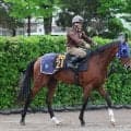 日曜東京競馬場の注目激走馬…東京１１Ｒプリンシパルステークス（Ｌ）