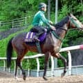 日曜京都競馬場の注目激走馬…京都１１Ｒ天皇賞（春）・Ｇ１