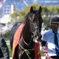 【天皇賞(春)・馬体重】クロワデュノールは514kg(-8)、アドマイヤテラは500kg(-4)