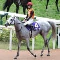【天皇賞・春】アクアヴァーナルは４着　７３年ぶりの牝馬制覇ならず　松山弘平騎手は桜花賞、皐月賞、天皇賞・春のＧ１・３連勝逃す