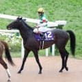 【天皇賞・春】昨年の覇者ヘデントールは３番人気で５着　レース史上６頭目の連覇ならず　