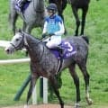 【天皇賞・春】武豊騎手騎乗のアドマイヤテラは３着　自身の歴代最多記録を更新する春の盾９勝目はならず