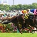 【プリンシパルＳ】一発勝負の“ダービー切符”をメイショウハチコウがつかむ　ディー騎手「素晴らしい馬」