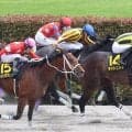 【ブリリアントＳ】タイトニットが外を回る強い競馬でオープン昇級後の初勝利を挙げる　荻野極騎手「馬を褒めたい」